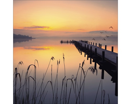 Houten steiger op een meer bij zonsopgang met riet op de voorgrond.