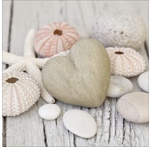 Decoratie met een stenen hart, zeesterren en zee-egels op een houten ondergrond