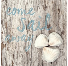 Decoratief bord met de tekst Come Sail Away en schelpen op hout