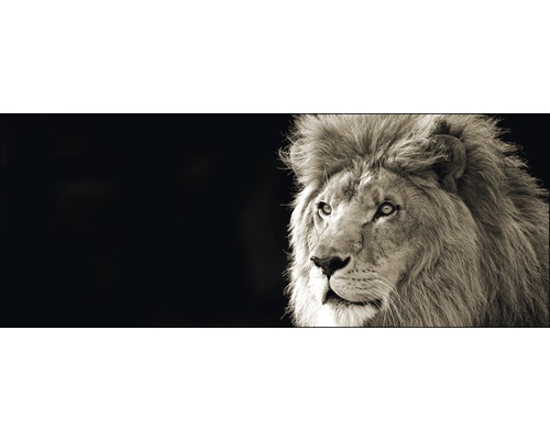 PURE LIVING Schilderij glas Lion 30x80 cm
