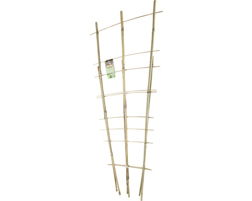 FLORASELF Klimrek planten bamboe 60 cm