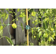FLORASELF Steunnet groen 5x2 m
