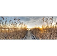 Houten steiger door riet naar het meer bij zonsondergang