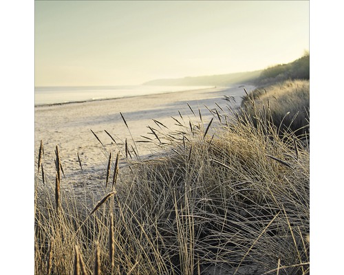 PURE LIVING Schilderij glas Lost Dunes I 50x50 cm