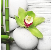 Decoratie met bamboe, stenen en orchidee op hout