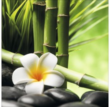 Bamboe stengels, frangipani bloem en stenen voor een wellness sfeer