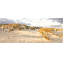 Duinlandschap met zand en gras