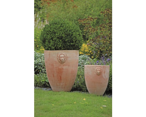 Twee terracotta plantenbakken met leeuwenkopdecoratie in een tuin.