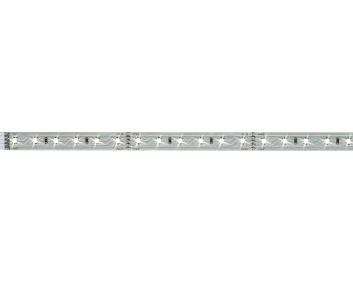 PAULMANN MaxLED 500 LED-strip daglichtwit 100 cm zilver ongecoat