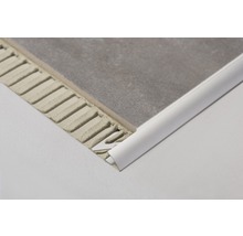 DURAL Traptredenprofiel Duratrans zilver 11 mm x 100 cm