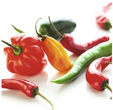 Verschillende soorten chilipepers