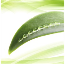 Groen blad met waterdruppels