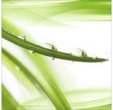 Close-up van een grasspriet met waterdruppels