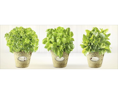 PURE LIVING Schilderij glas Herb Garden 50x125 cm Drie kruidenpotten met peterselie, basilicum en munt