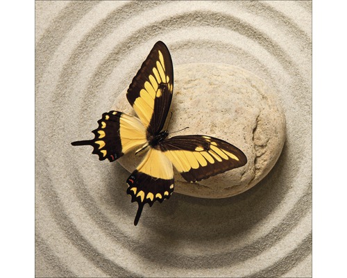 PURE LIVING Schilderij glas Butterfly I 50x50 cm
