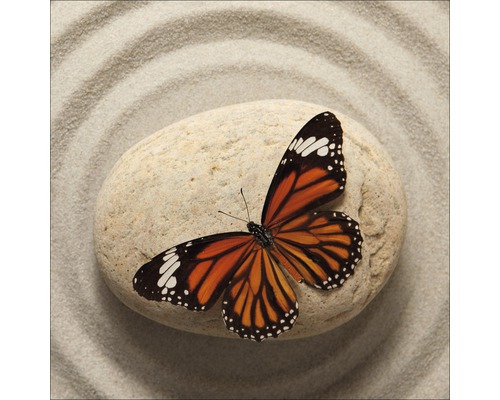 PURE LIVING Schilderij glas Butterfly II 50x50 cm
