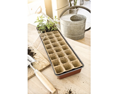 Zaaitray met jonge planten, gieter en plantschep op een tafel