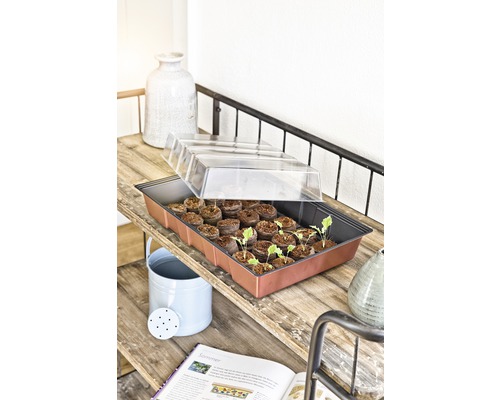 Zaaitray met zaadpotten en transparant deksel op een plank