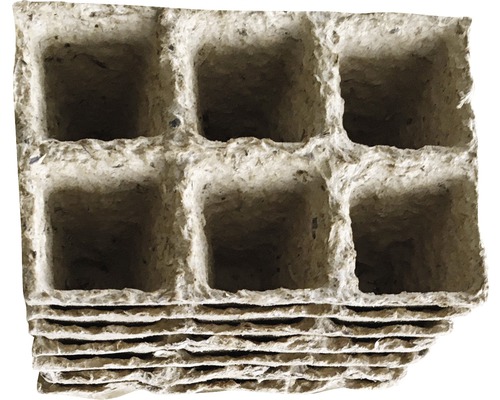 Papieren zaaitray met zes vakken