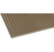 Polycarbonaat plaat voor dakbedekking