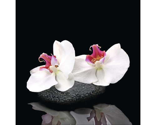 PURE LIVING Schilderij glas White Orchid V 20x20 cm