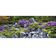 Watertuin met stenen en beplanting