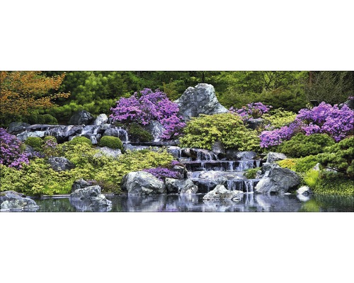 Watertuin met stenen en beplanting