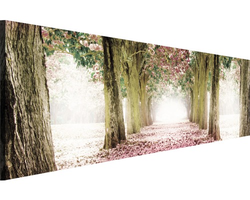 Schilderij canvas bomenlaan 45x145 cm