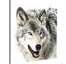 Canvas schilderij met wolf motief