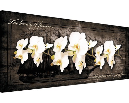 Schilderij canvas orchidee 45x145 cm