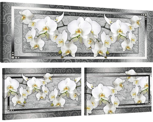 Schilderij canvas orchidee set van 3