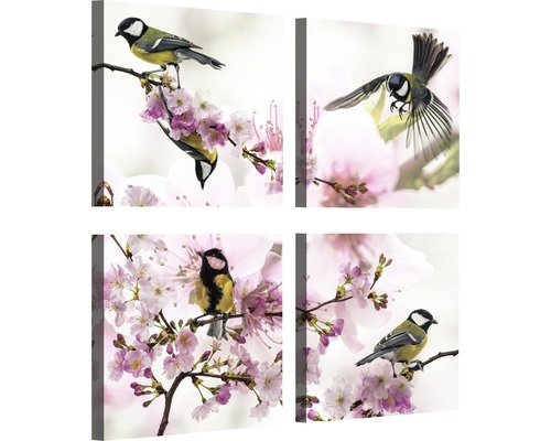 Schilderij canvas vogel set van 4 stuks
