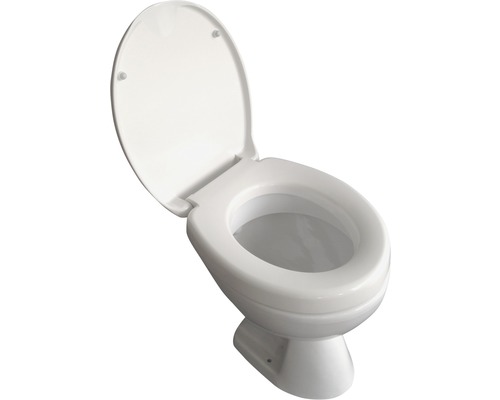 Staand toilet met open toiletdeksel