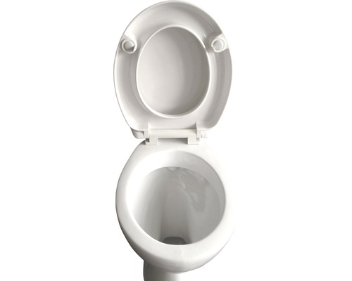 Toiletpot met open toiletdeksel