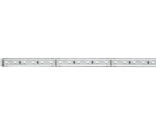 PAULMANN MaxLED 500 LED-strip daglichtwit 100 cm zilver gecoat