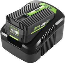 For-q 40V Lithium accu met oplader