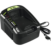 For-q oplader voor accu''s