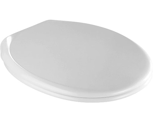 Toiletdeksel van kunststof