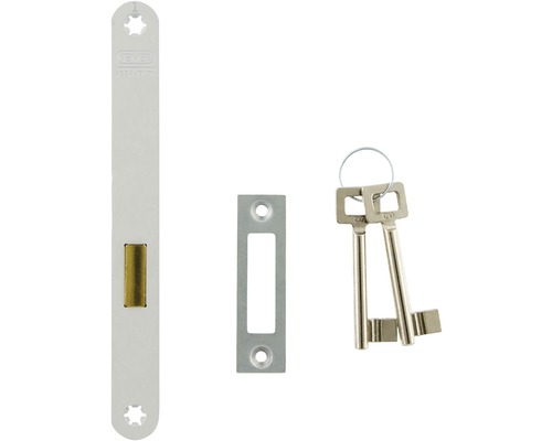 Insteekslotset met sleutel en sluitplaat