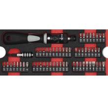 Schroevendraaierset met verschillende bits