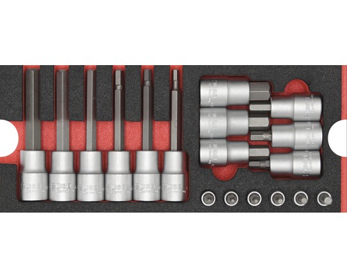 WGB Inleg voor gereedschapswagen met punt doppenset Torx 1/4" + 1/2" 23-delig Dopsleutelset met binnenzeskantprofiel in gereedschapskist