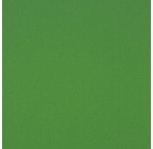 GUTTAGLISS® Kunststofplaat Hobbycolor groen 500x1000x3 mm-thumb-0