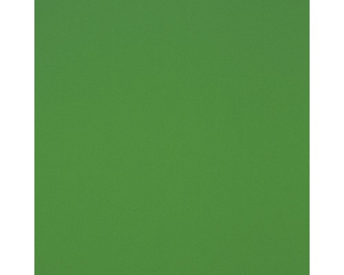 GUTTAGLISS® Hobbycolor kunststof plaat, groen, 500x250x3 mm