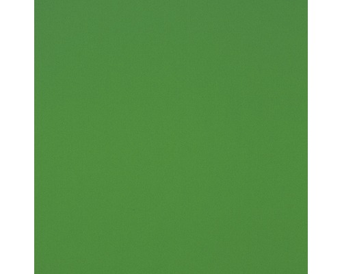 GUTTAGLISS® Kunststofplaat Hobbycolor groen 500x1250x3 mm