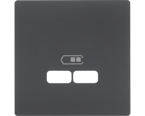 MERTEN System Design Centraalplaat USB antraciet MEG4367-6034