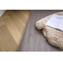Vloerkleed Sensation taupe 170x230 cm
