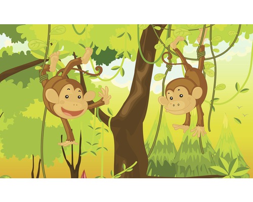 Fotobehang papier Jungle apen 254x184 cm