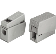 WAGO Kroonklem 224-101, 100 stuks