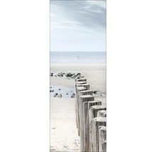 Fotografie met een rij houten palen op een zandstrand