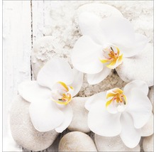 Stilleven met orchideeën, stenen en badzout